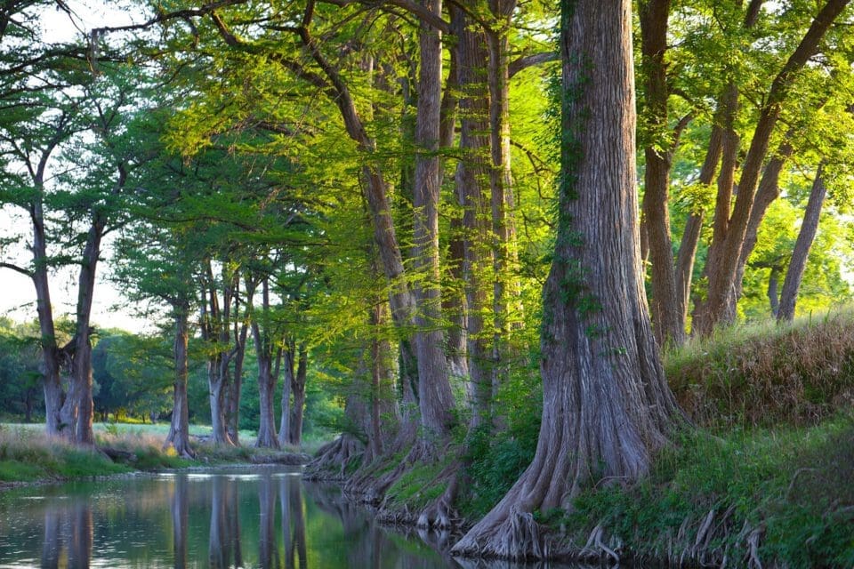 Pedernales Falls State Park with kids — cypress-lined creek at golden hour in Texas Hill Country
