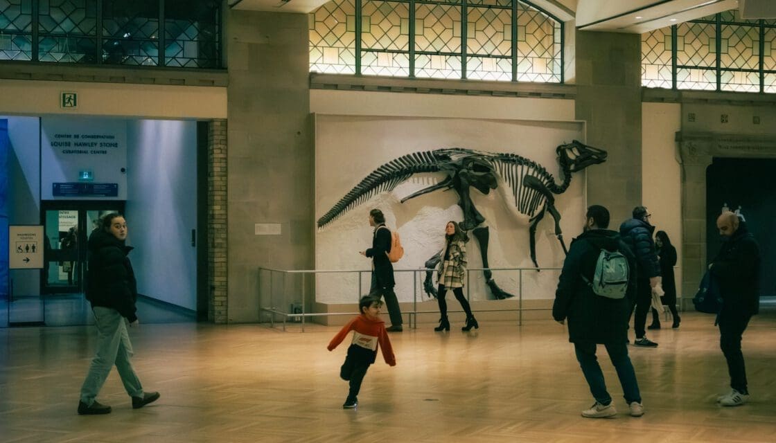 Witte Museum San Antonio with kids — families exploring a dinosaur fossil exhibit inside a natural history museum
