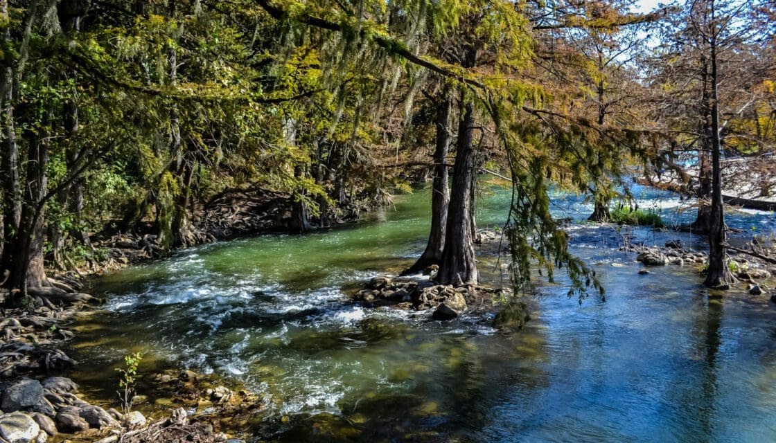 Kerrville Texas with kids — Guadalupe River flowing through cypress trees