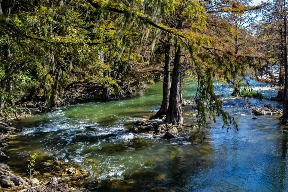 Kerrville Texas with kids — Guadalupe River flowing through cypress trees
