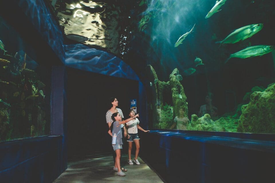 Austin Aquarium with kids — mom and two girls walking through a dim aquarium hall lined with glowing fish tanks
