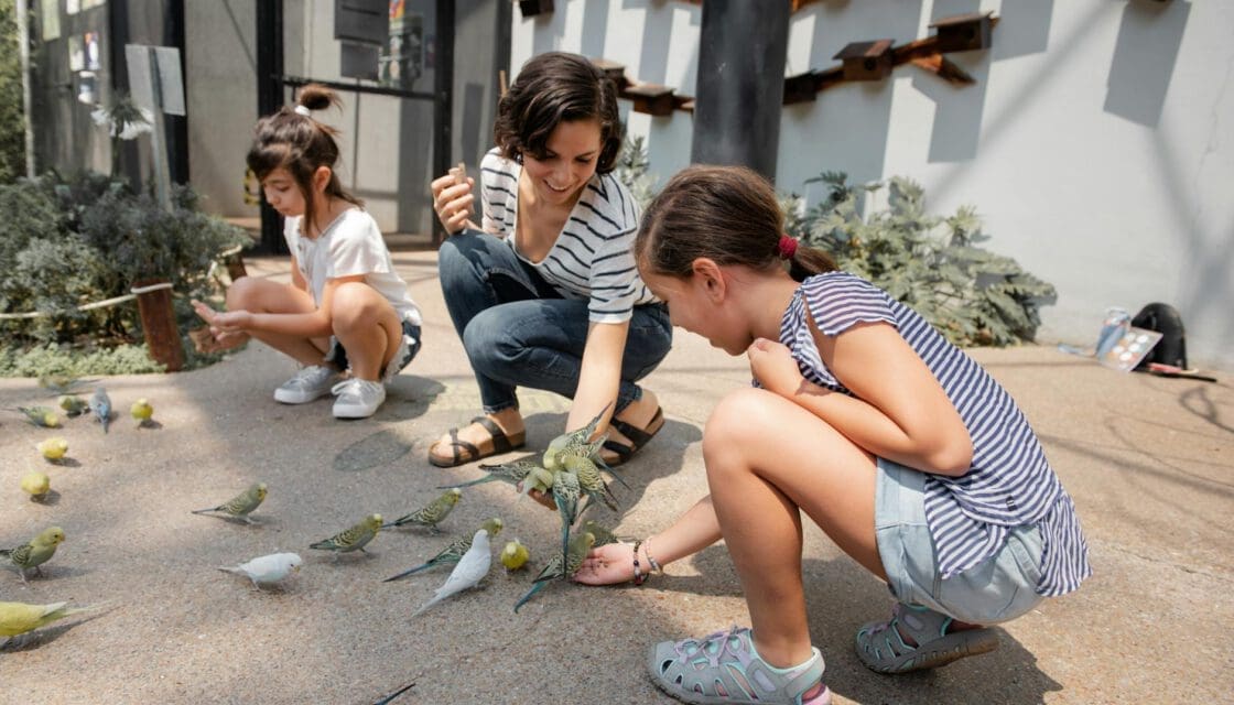 San Antonio Zoo with kids — mother and daughters laughing while feeding colorful parakeets outdoors