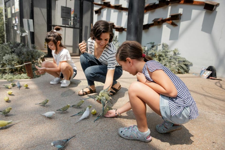 San Antonio Zoo with kids — mother and daughters laughing while feeding colorful parakeets outdoors